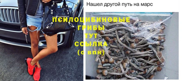 прущие крисы Новозыбков