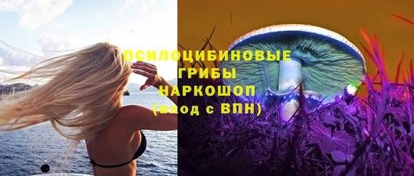 прущий лед Аркадак