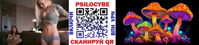Псилоцибиновые грибы Psilocybe  Макарьев 